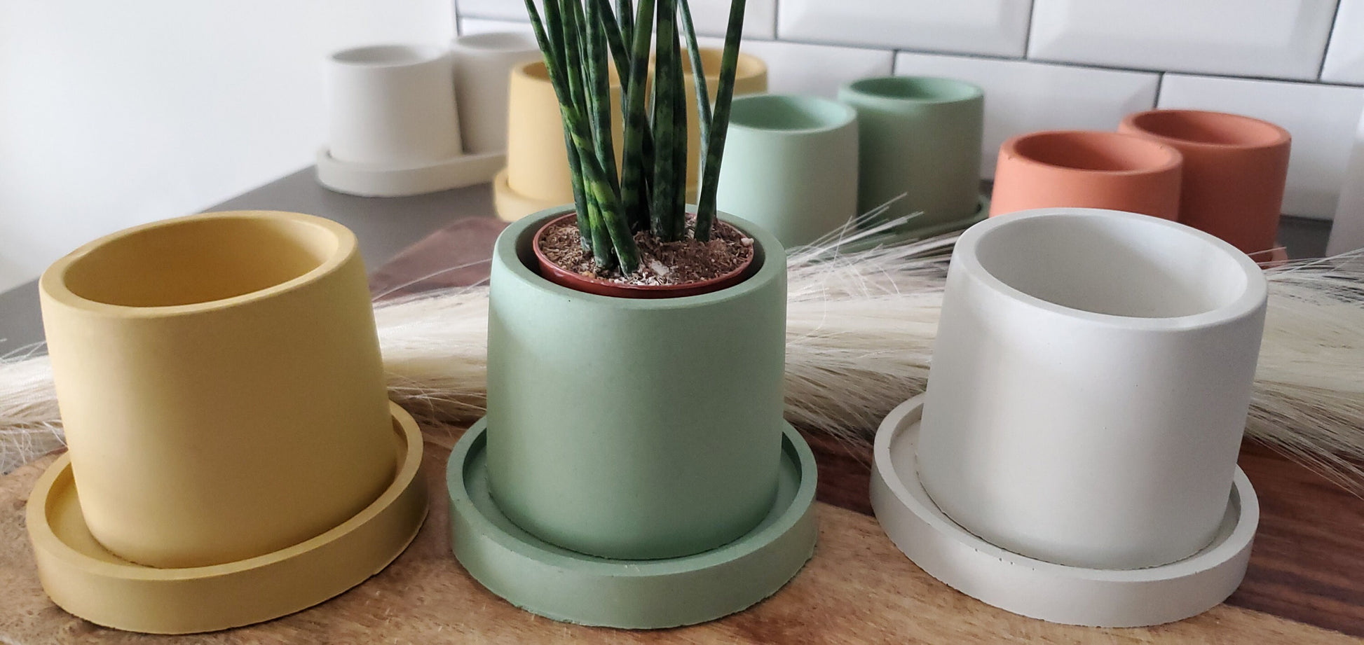 Small Plant Pot with Drainage Plate | With or Without Drainage | Succulent Planter | Seedling Pot | Concrete Pot | Planter Gift Set