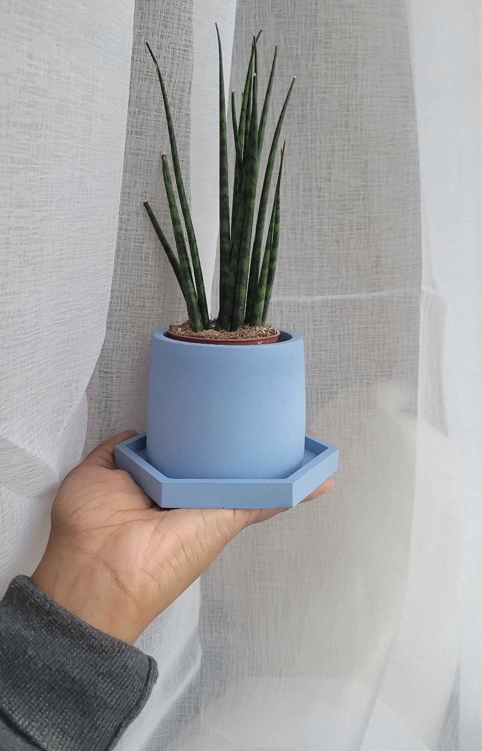 Shades of Blue | Small Plant Pot with Drainage Plate | Blue Planter with Drainage | Concrete Succulent Pot | Plant Pot Gift Set | Flower Pot