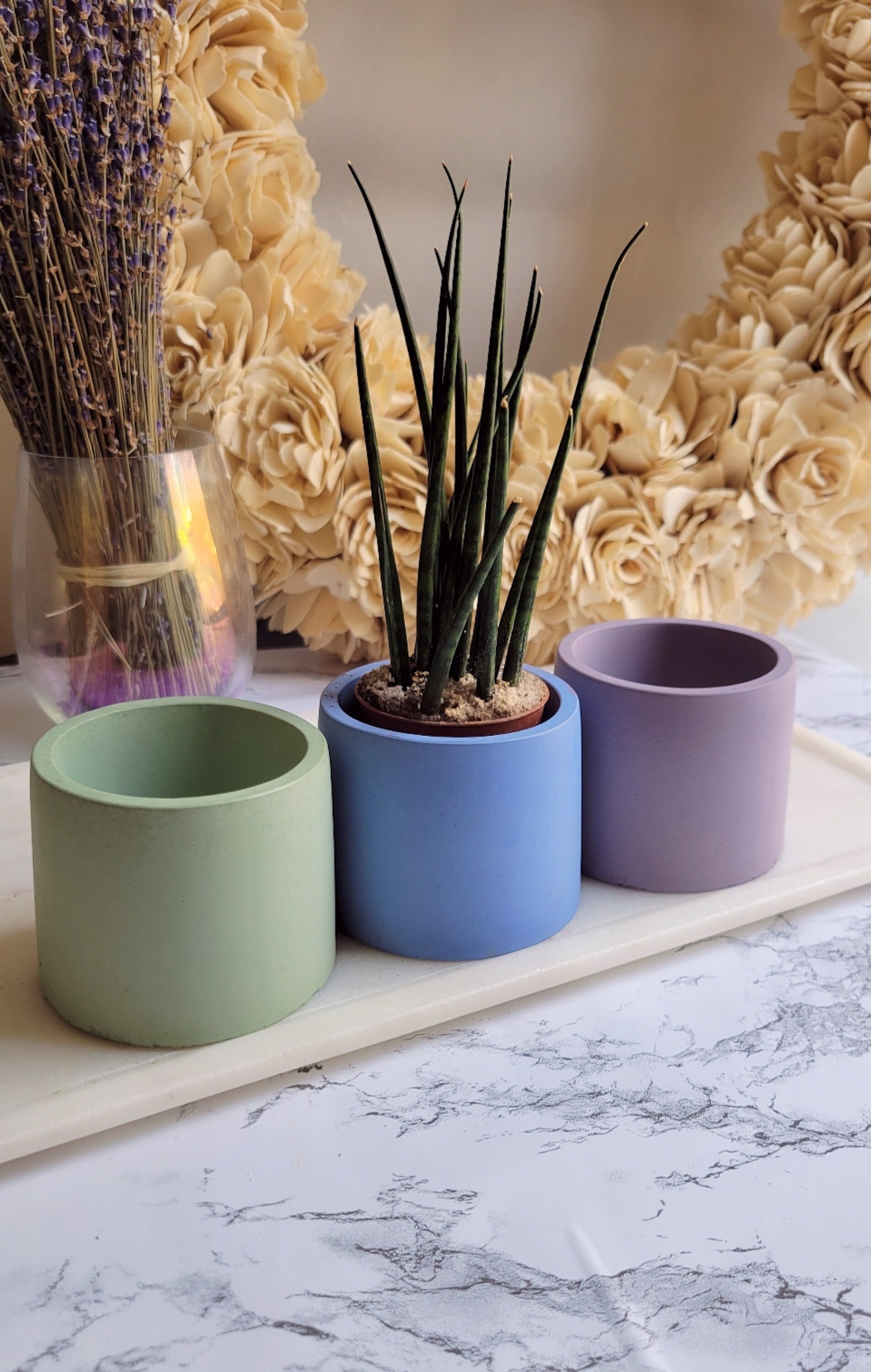 Rainbow Small Pot Set | 3 in Colorful Pot Gift Set | Drainage Plate | Optional Drainage & Sealant | Succulent Pot Gift Set | Cement Planter