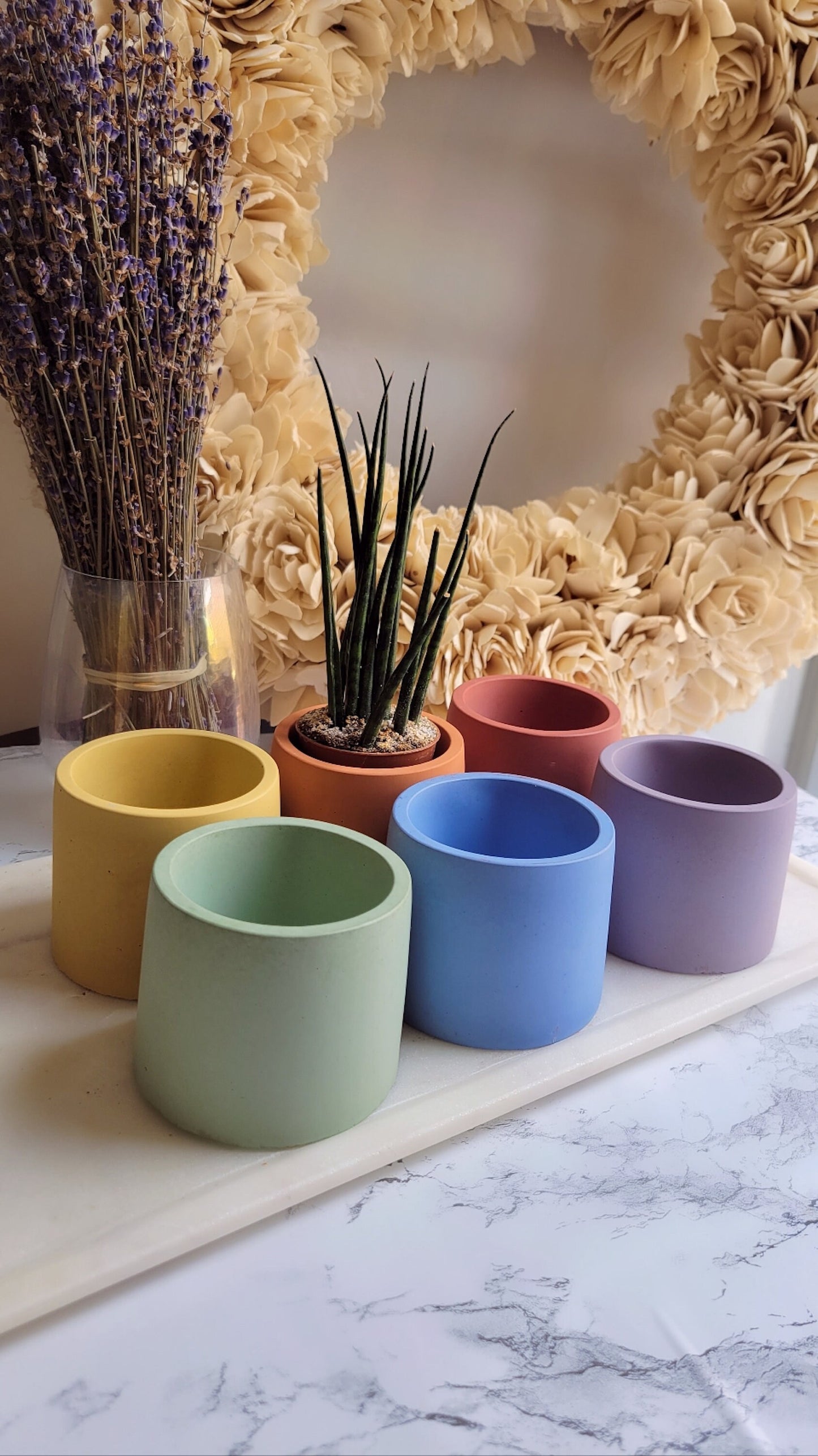 Rainbow Small Pot Set | 3 in Colorful Pot Gift Set | Drainage Plate | Optional Drainage & Sealant | Succulent Pot Gift Set | Cement Planter