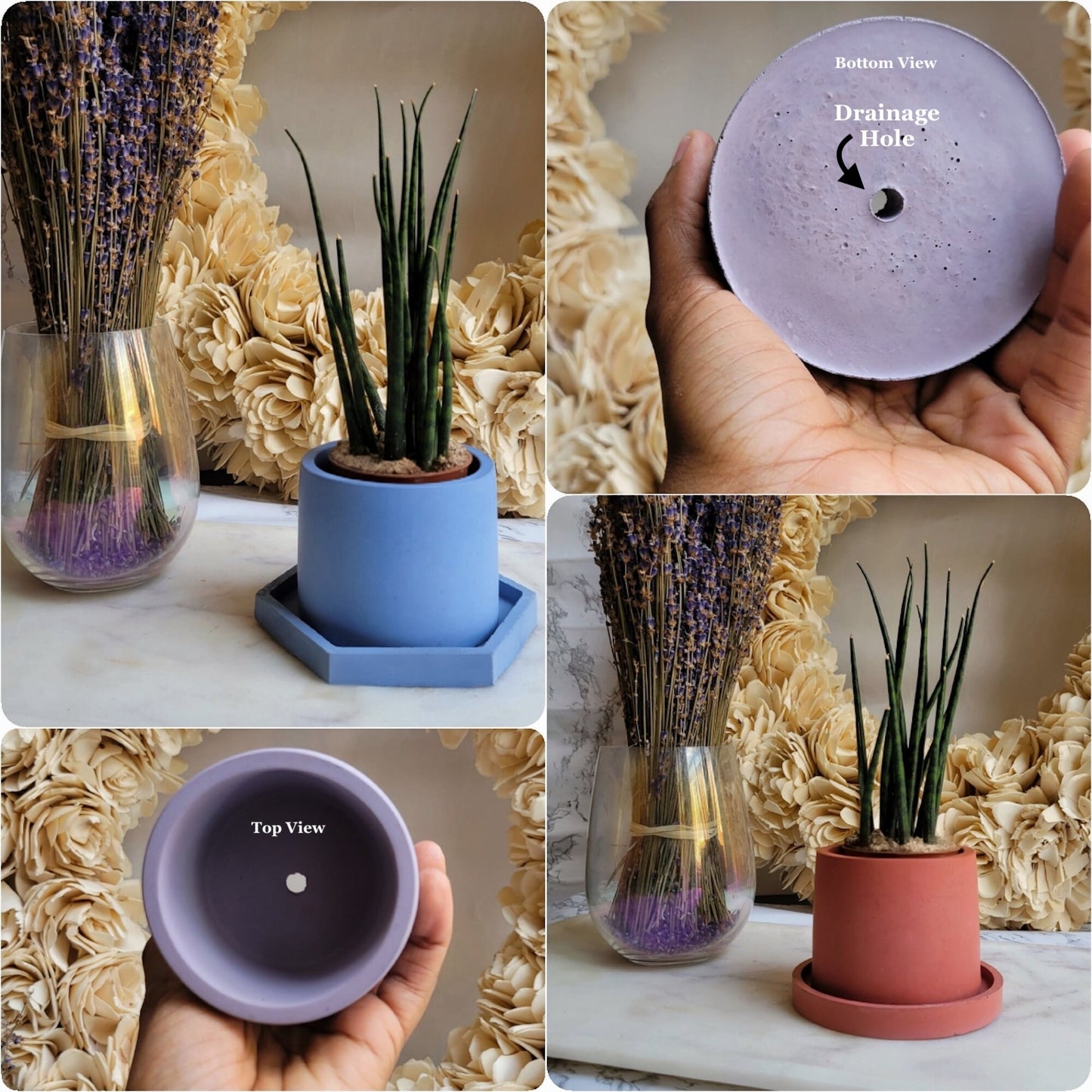 Rainbow Small Pot Set | 3 in Colorful Pot Gift Set | Drainage Plate | Optional Drainage & Sealant | Succulent Pot Gift Set | Cement Planter